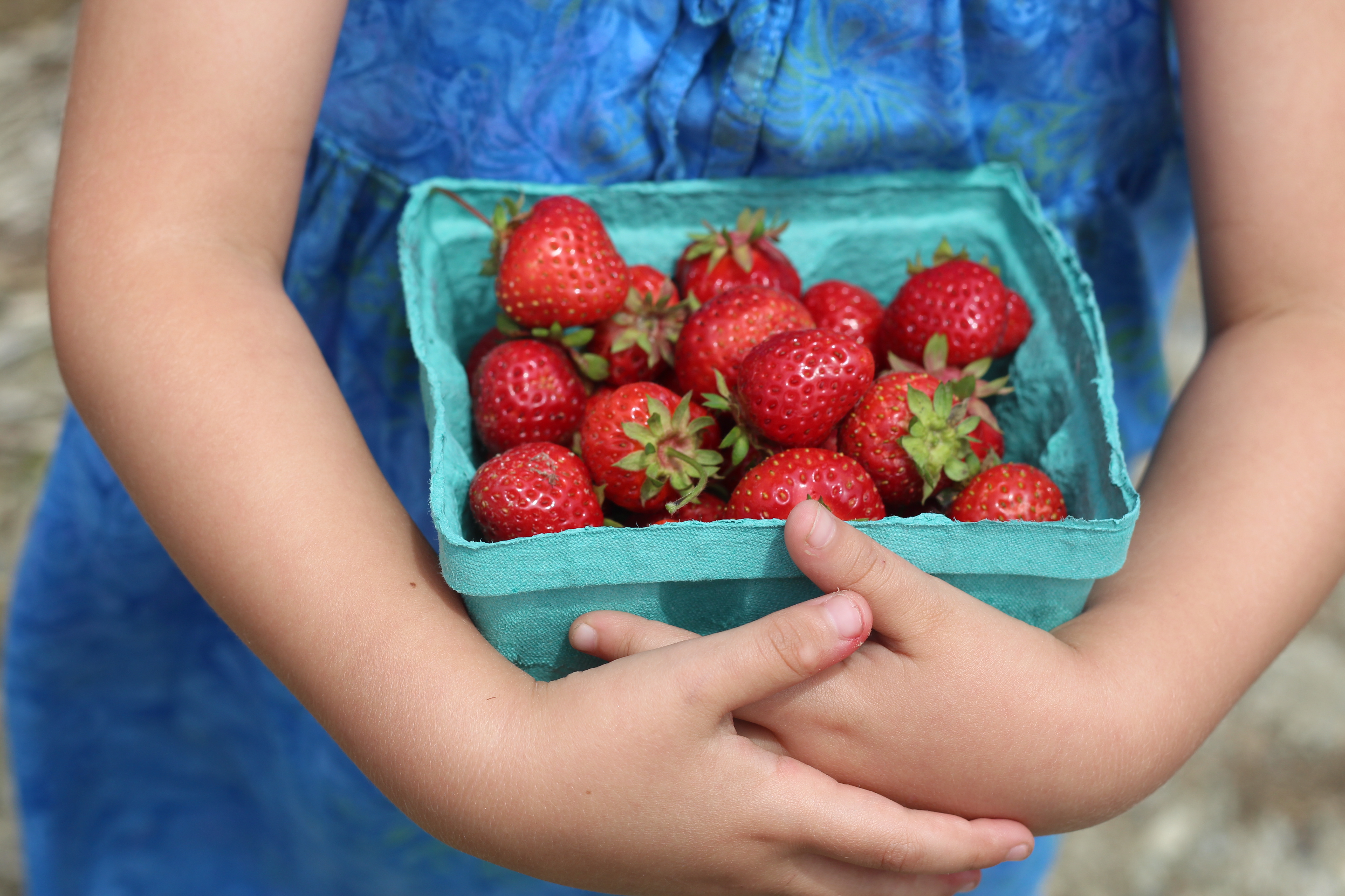 Kids can choose their own foods